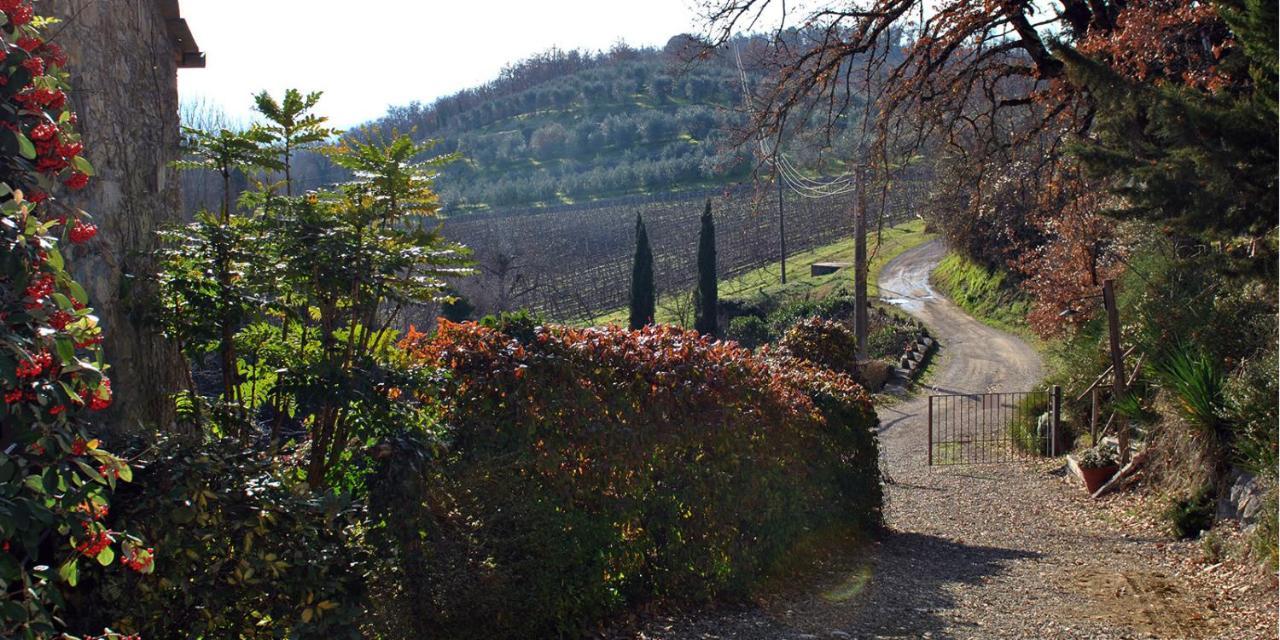 Molino Di Bombi Βίλα Castellina in Chianti Εξωτερικό φωτογραφία