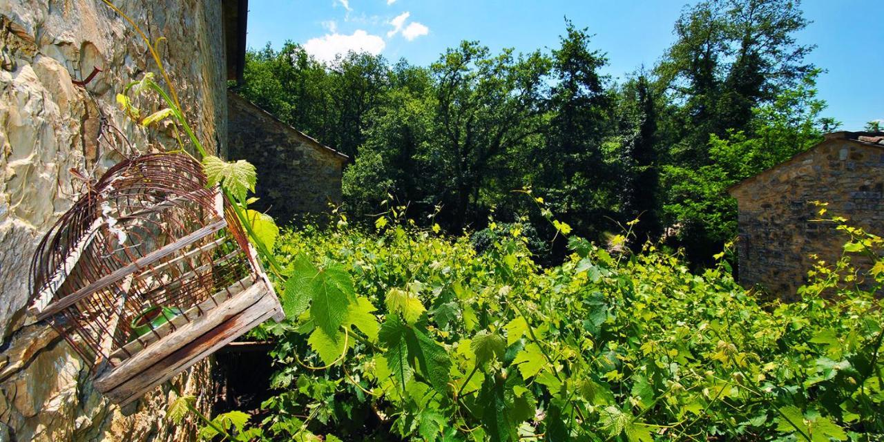 Molino Di Bombi Βίλα Castellina in Chianti Εξωτερικό φωτογραφία