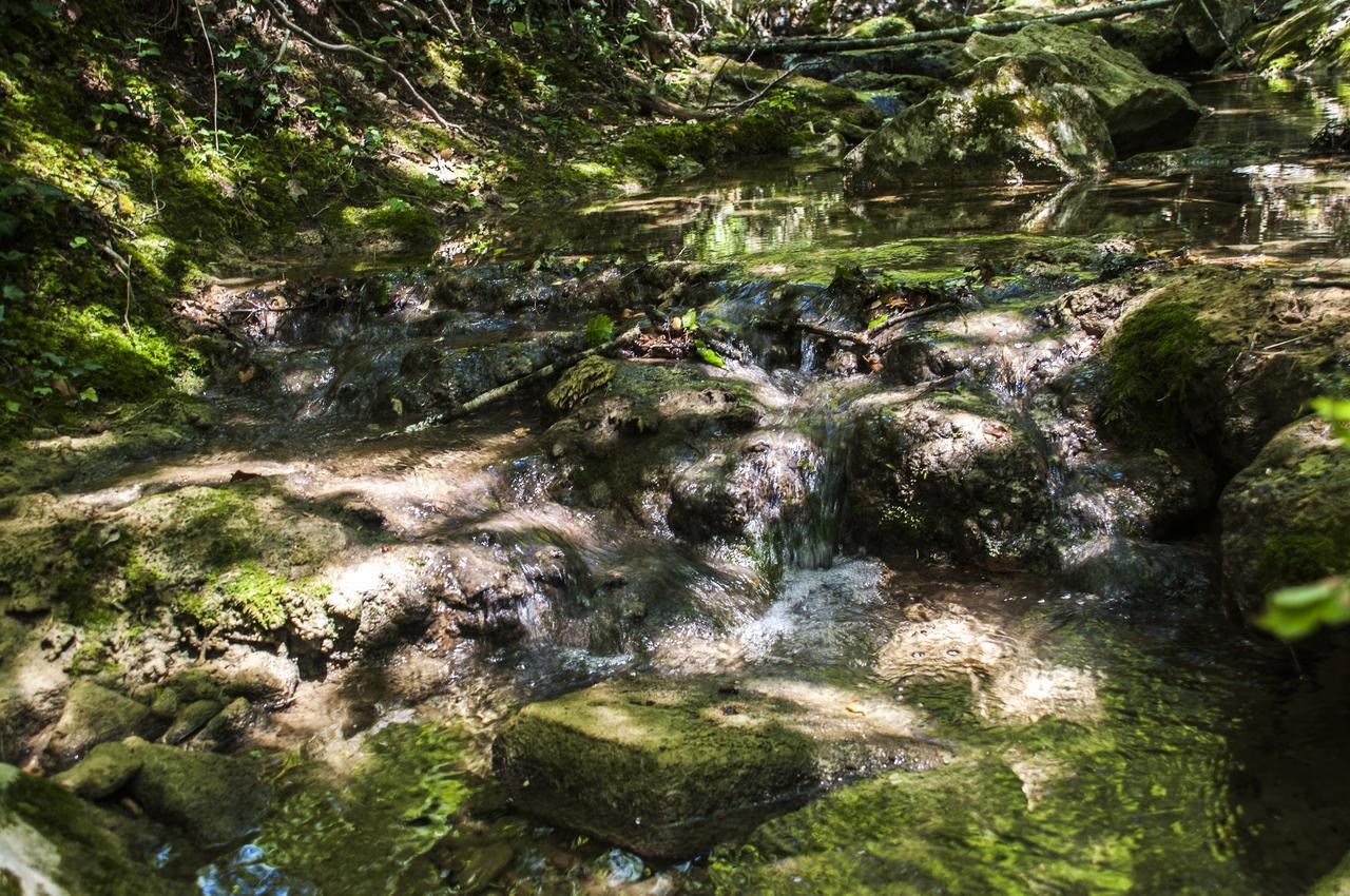 Molino Di Bombi Βίλα Castellina in Chianti Εξωτερικό φωτογραφία